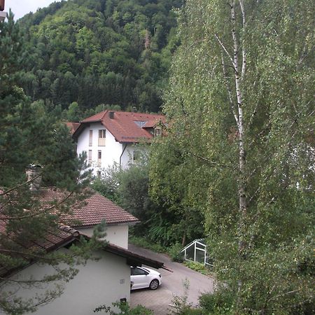 Apartamento Appartemant Steineberg Immenstadt im Allgäu Exterior foto